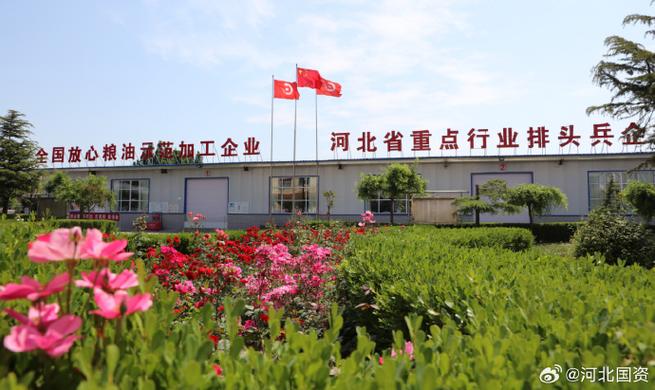 【冀中能源邢矿集团冀中粮油公司荣获"河北省农业产业化重点龙头企业"